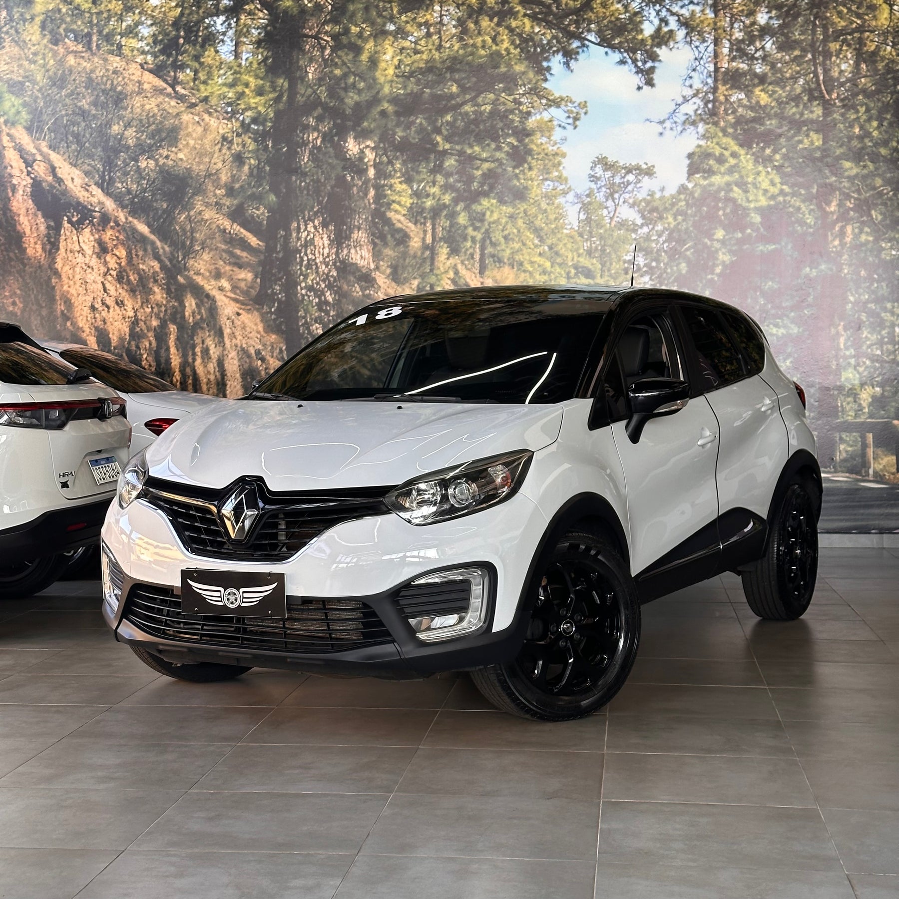 CAPTUR 2.0 INTENSE 2018